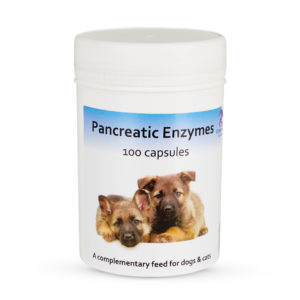 Chemeyes | Premium Supplier of Pancreatic Enzymes for Dogs